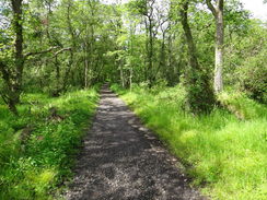 P2011DSC00055	Heading northwestwards through Mugdock Country Park.