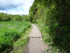 P2011DSC00057	A boardwalk near Lower Craigallian.