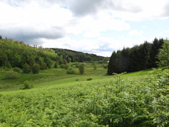 P2011DSC00070	Looking down the valley towards Craigallian Loch.