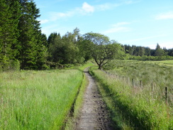 P2011DSC00112	The path leading north towards the Garadhbam Forest.