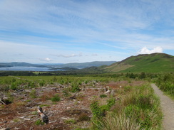 P2011DSC00123	The path leading towards Conic Hill.