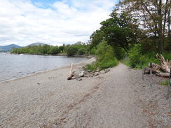 P2011DSC00184	The shores of Loch Lomond.