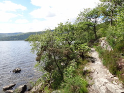 P2011DSC00214	The path above Loch Lomond.