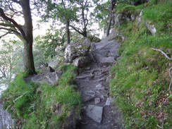 P2011DSC00293	The path heading north from Inversnaid.