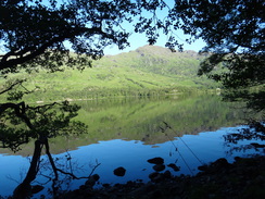 P2011DSC00300	A view over Loch Lomond.