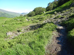 P2011DSC00356	Following the path northwards towards Inverarnan.