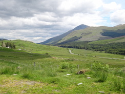 P2011DSC00402	Following the military road northeastwards towards Crianlarich.