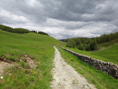 P2011DSC00406	Following the military road northeastwards towards Crianlarich.