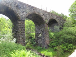 P2011DSC00421	The railway viaduct near Mountgreenan.