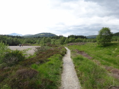 P2011DSC00439	Crossing the moorland northwards towards Tyndrum.