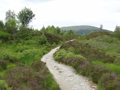 P2011DSC00445	Crossing the moorland northwards towards Tyndrum.