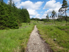 P2011DSC00499	The path climbing up towards Mam Carraigh.