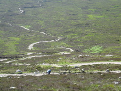 P2011DSC00666	The ascent up the Devil's Staircase.