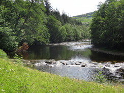 P2011DSC00729	The River Leven.