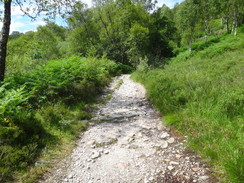 P2011DSC00738	The path ascending up to the Lairig from Kinlochleven.