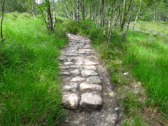 P2011DSC00743	The path ascending up to the Lairig from Kinlochleven.