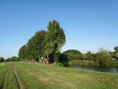 P2011DSC00909	Looking back towards Bottisham Lock.