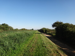 P2011DSC00925	Following Swaffham Bulbeck Lode southeastwards.