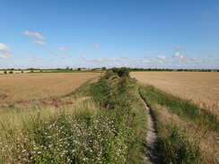 P2011DSC00959	Following the Devil's Dyke from Reach towards the Burwell Road.