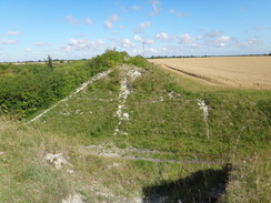 P2011DSC00965	A cross-section through the dyke.