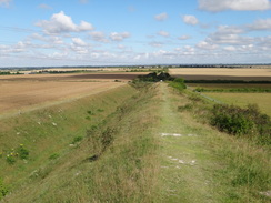 P2011DSC00970	Following the Devil's Dyke southeastwards from Burwell Road.