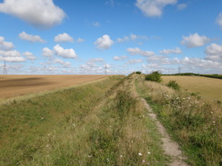 P2011DSC00973	Following the Devil's Dyke southeastwards from Burwell Road.