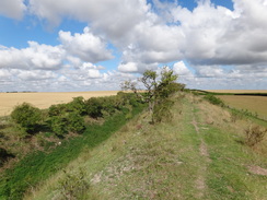 P2011DSC00982	Following the Devil's Dyke southeastwards from Burwell Road.