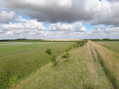 P2011DSC00994	Following the Devil's Dyke southeastwards across Newmarket Racecourse.