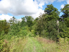 P2011DSC01027	Following the dyke southeastwards towards Stretchworth Park.