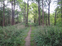 P2011DSC01031	Following the dyke southeastwards towards Stretchworth Park.