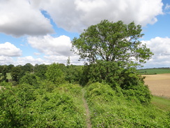 P2011DSC01041	Following the dyke towards Ditton Green.