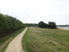 P2011DSC01112	Following the path east towards Barnsdale.