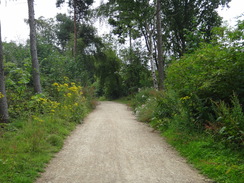 P2011DSC01124	The path heading east towards Whitwell through Barnsdale Wood.