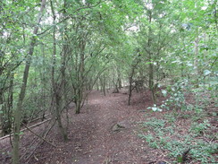 P2011DSC01155	The path leading east towards Empingham.