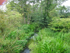 P2011DSC01173	The River Gwash.