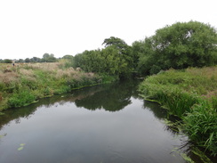 P2011DSC01266	The River Welland to the southwest of Stamford.