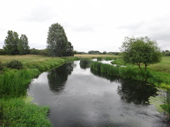 P2011DSC01374	The River Nene.