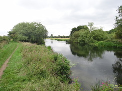 P2011DSC01402	The River Nene.