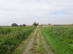 P2011DSC01539	Following the track south from Dog-in-a-Doublet.