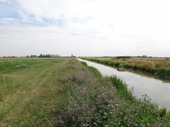 P2011DSC01571	Heading east along the northern bank of the Briggate River.