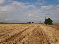 P2011DSC01768	Heading east towards Christchurch Farm.