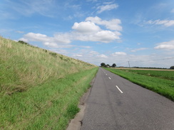 P2011DSC01823	The road beside the floodbank.