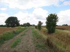 P2011DSC01891	Following the track south from Little Downham towards Ely.