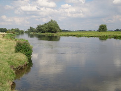 P2011DSC01932	The Great Ouse.