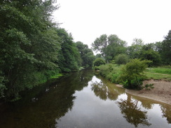 P2011DSC02205	The Little Ouse.