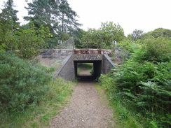 P2011DSC02217	The bridge carrying the path under the railway line in Santon.