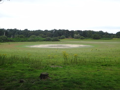 P2011DSC02276	The dried-up Langmere.