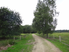 P2011DSC02279	The track leading east from Langmere towards the A1075.