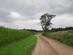 P2011DSC02319	The track leading south towards the A11(T).