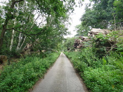 P2011DSC02390	The road heading east towards Heath Crossing.